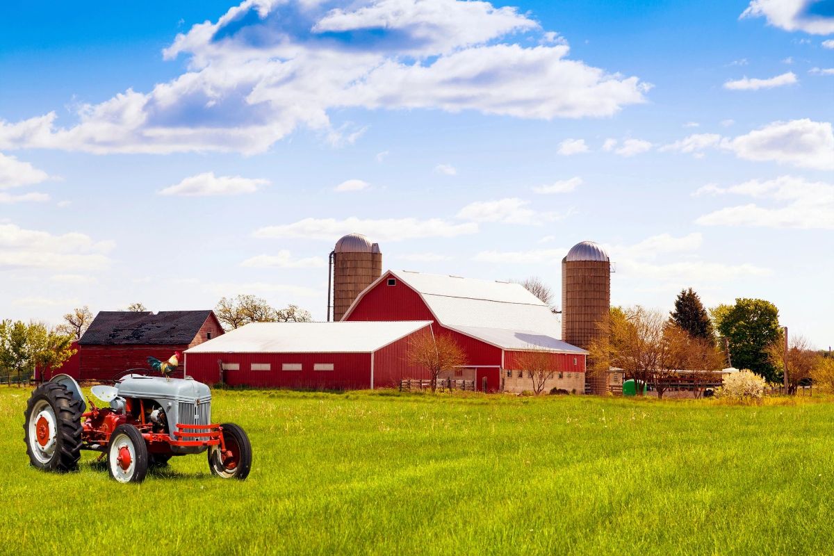 Farm