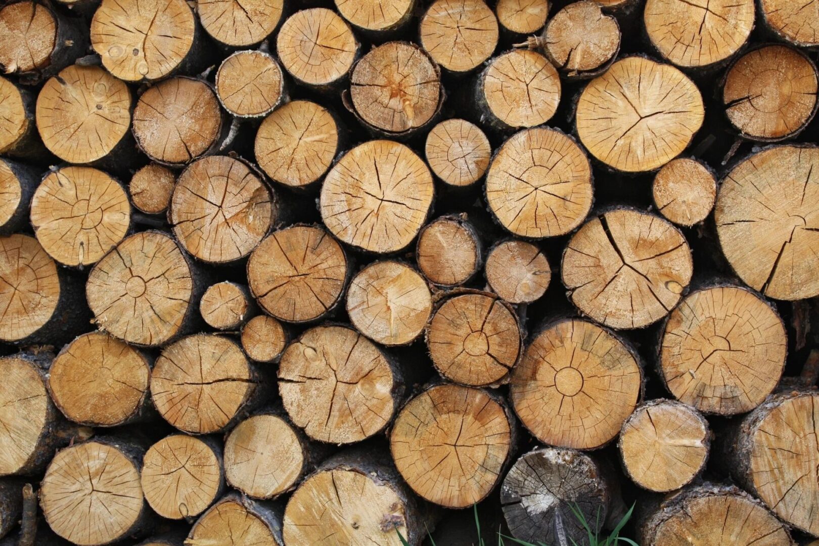 Logs