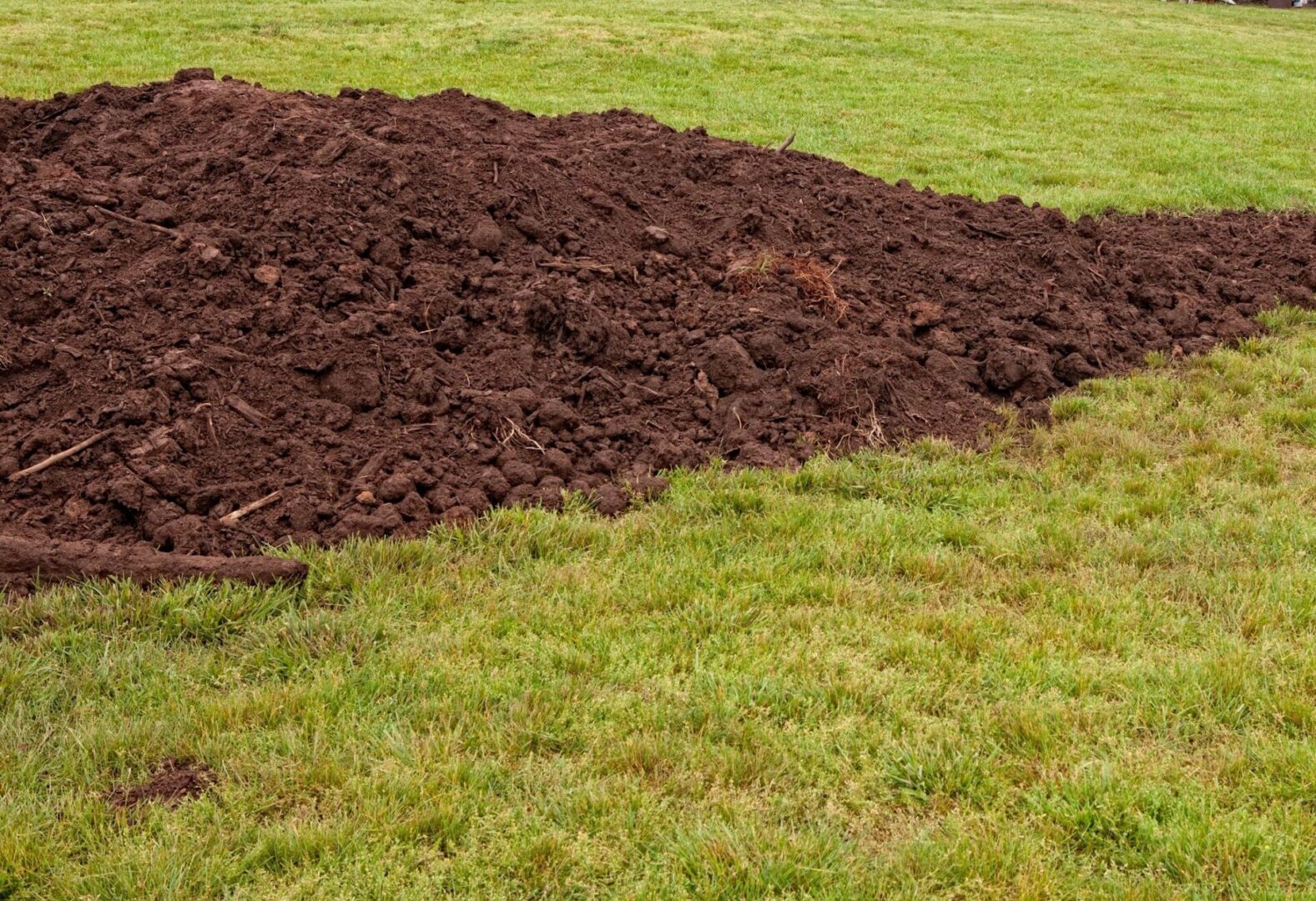 soil